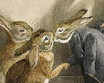 dEtail from "The Rabbit's Christmas Party" as painted by Beatrix Potter
